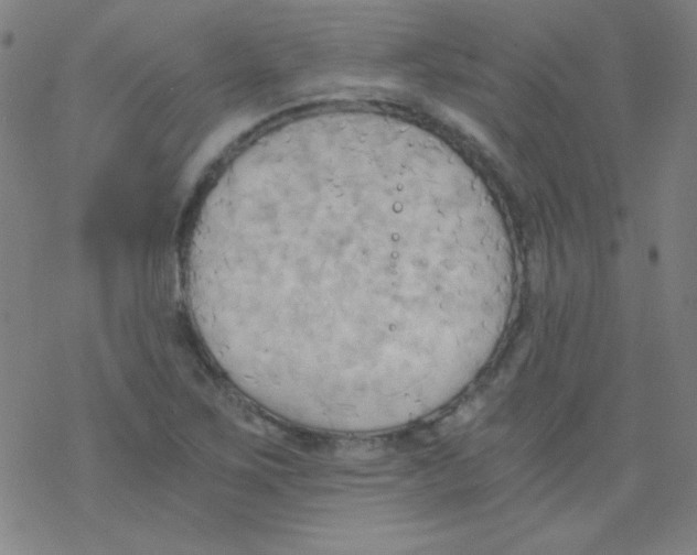 X0000076231267200610261841
