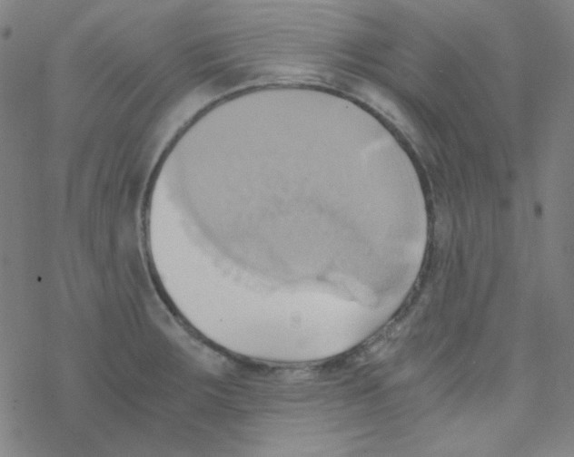 X0000076231283200610261841