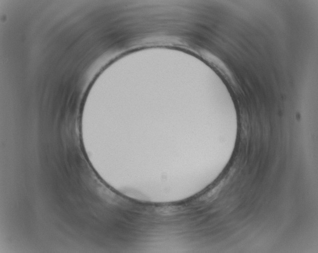 X0000076231288200610261841