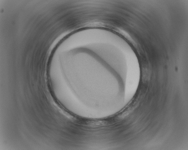 X0000076231331200610261841