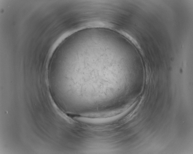 X0000076231342200610261841
