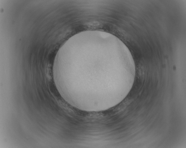 X0000076231346200610261840