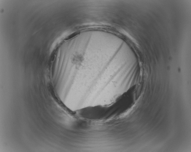 X0000076231357200610261840
