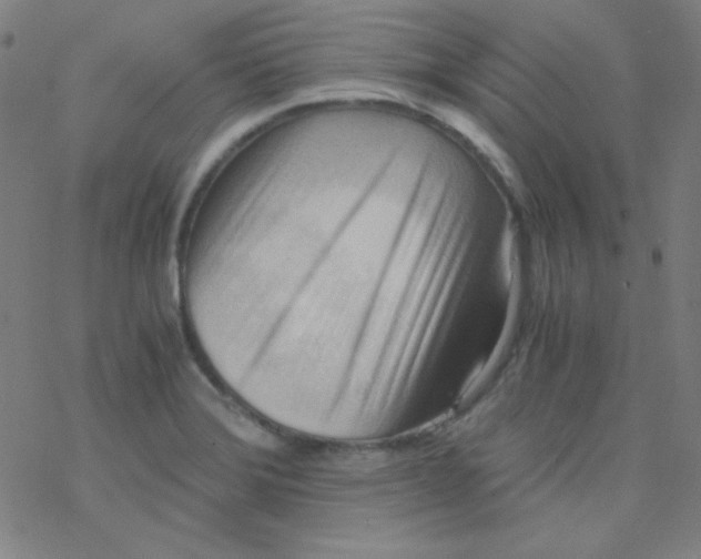 X0000076231372200610261840