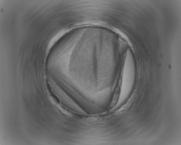 X0000076231373200610261840