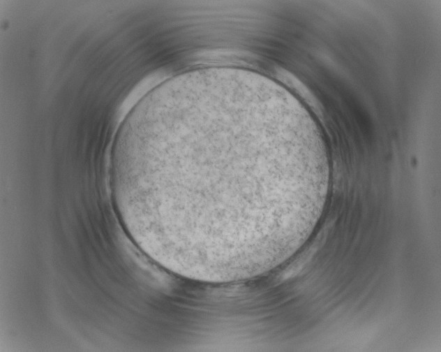 X0000076231386200610261839