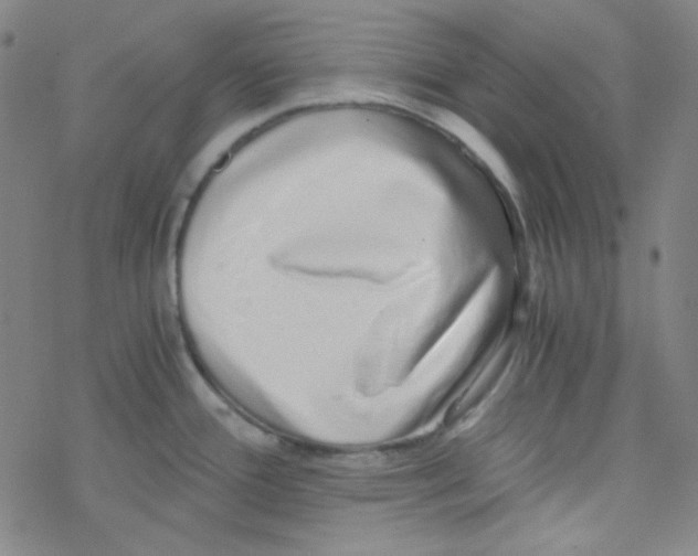 X0000076231388200610261839