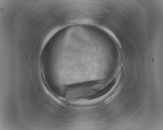 X0000076231389200610261839