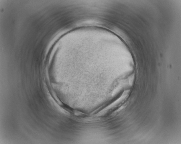 X0000076231392200610261839