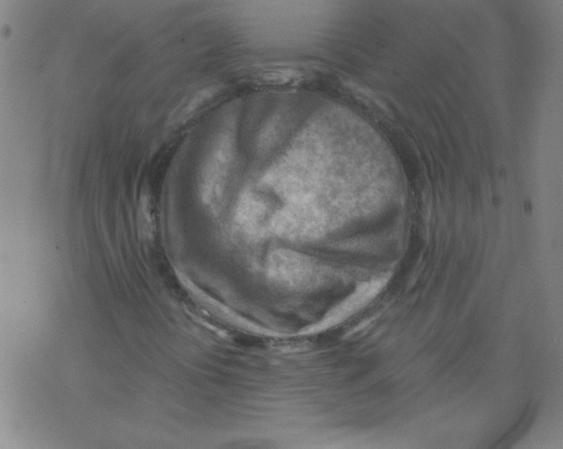 X0000076231394200610261838