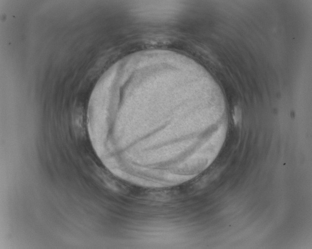 X0000076231396200610261838