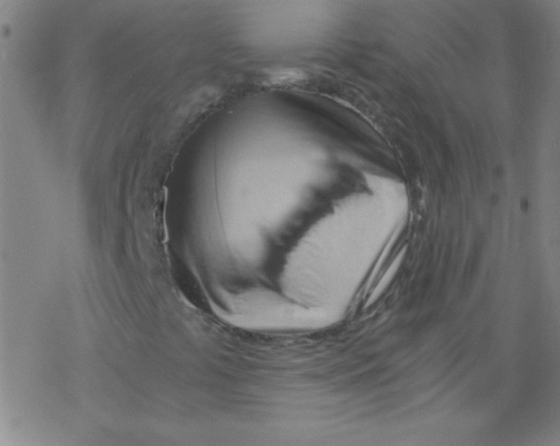 X0000076231441200610261838