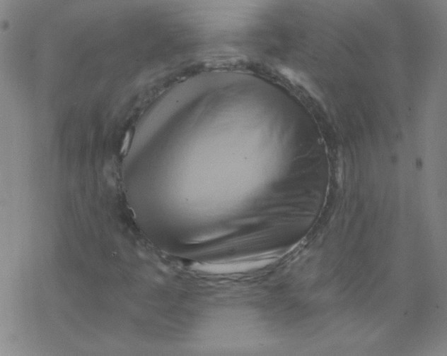 X0000076231445200610261838