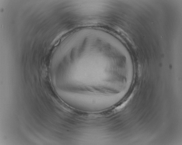 X0000076231449200610261838