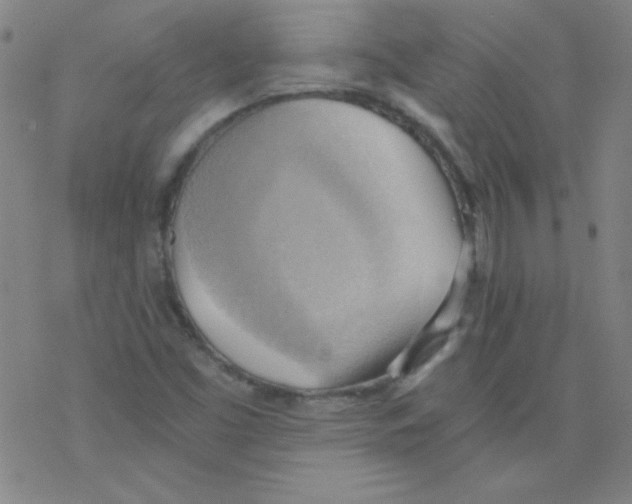 X0000076231453200610261838