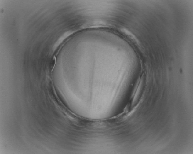 X0000076231457200610261838