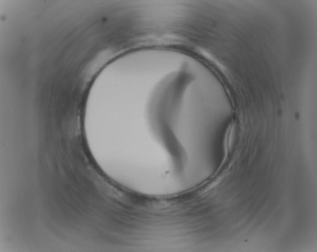 X0000076231459200610261838