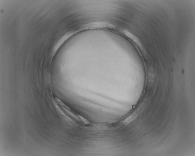 X0000076231473200610261838