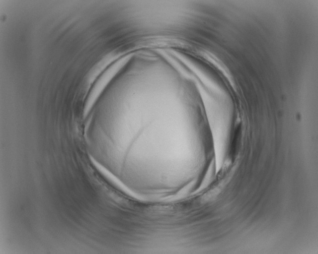 X0000076231481200610261838