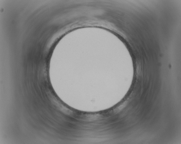 X0000076231498200610261837