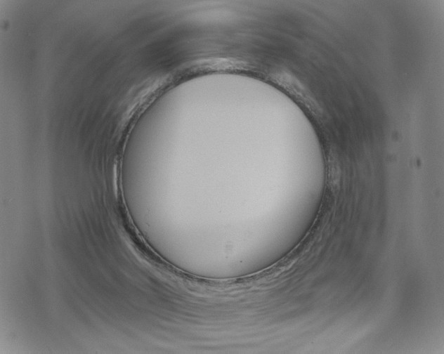 X0000076240014200609280934