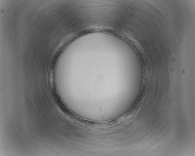 X0000076240024200609280934