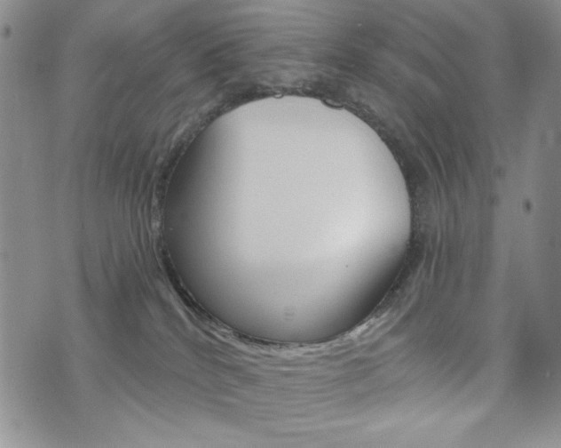 X0000076240040200609280933