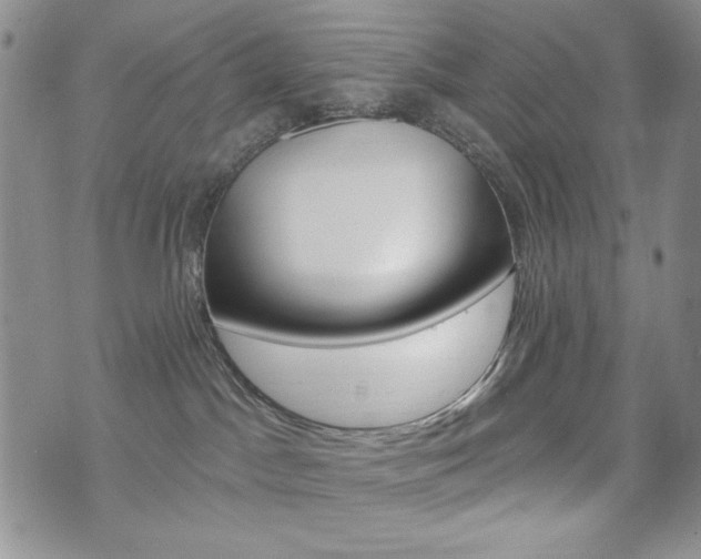 X0000076240045200609280933