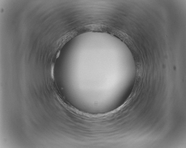 X0000076240047200609280933