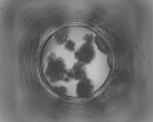 X0000076240049200609280933