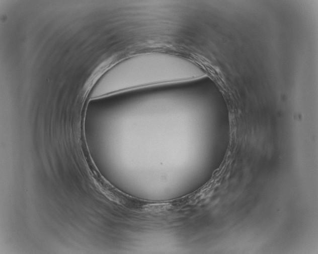 X0000076240051200609280933