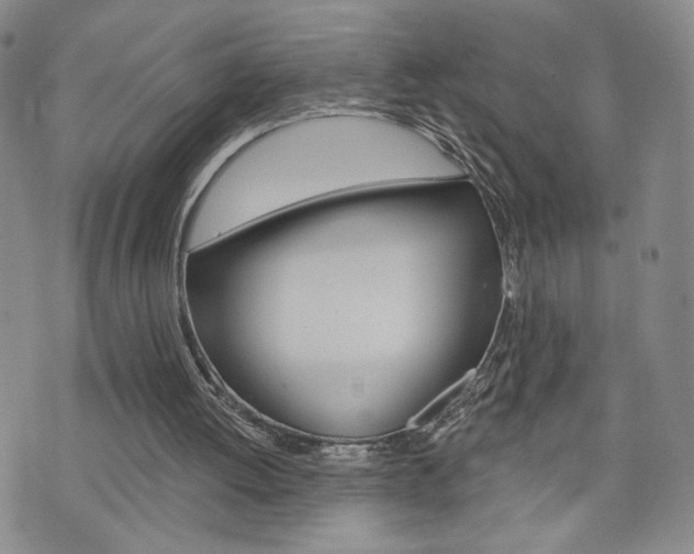 X0000076240052200609280933