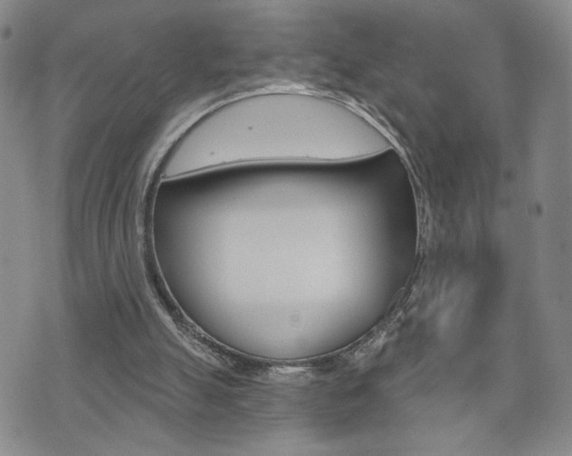 X0000076240055200609280933