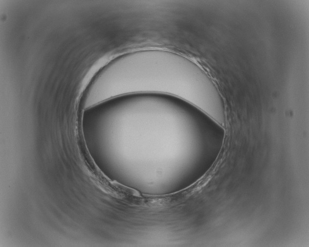 X0000076240056200609280933