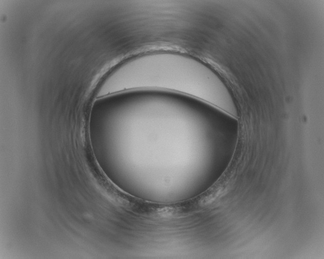X0000076240064200609280933