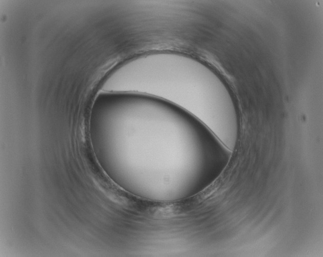 X0000076240068200609280933