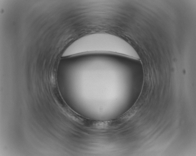 X0000076240084200609280933
