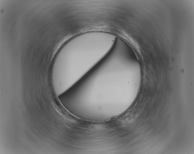 X0000076240107200609280932