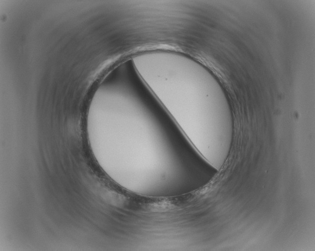 X0000076240112200609280932