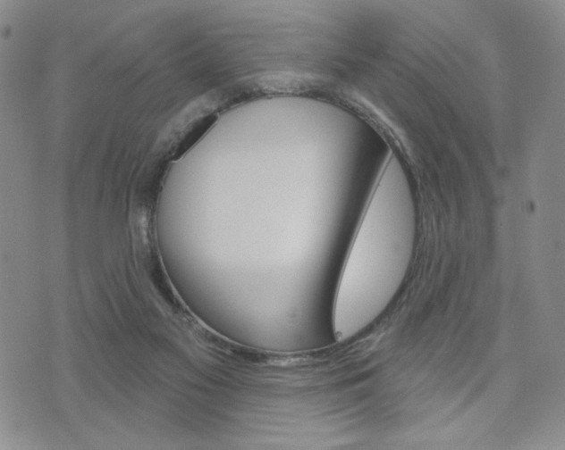 X0000076240117200609280932