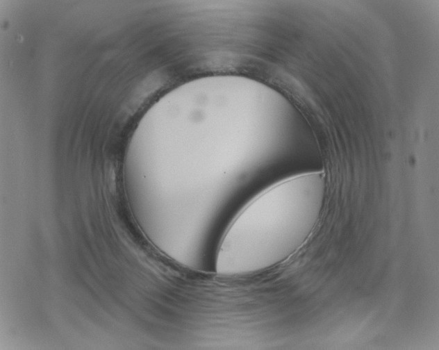 X0000076240120200609280932