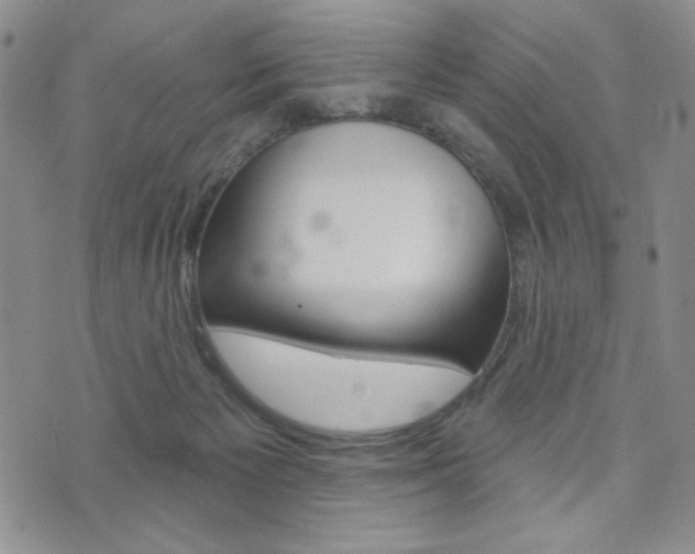 X0000076240125200609280932