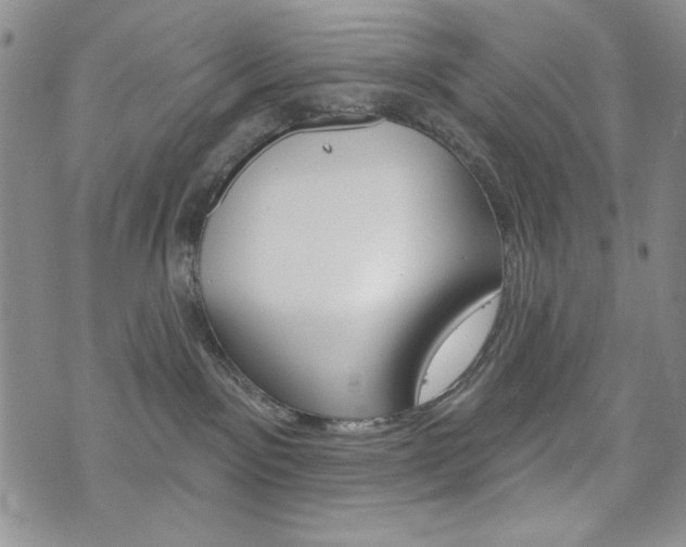 X0000076240141200609280932