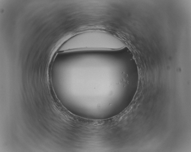 X0000076240148200609280931