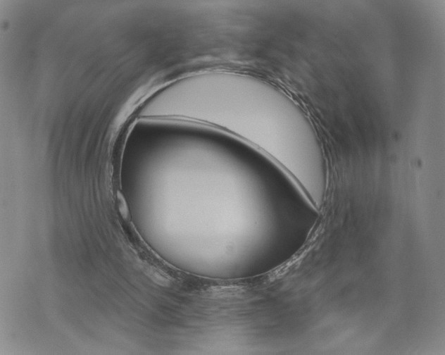 X0000076240150200609280931