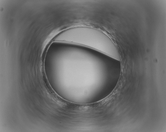 X0000076240152200609280931