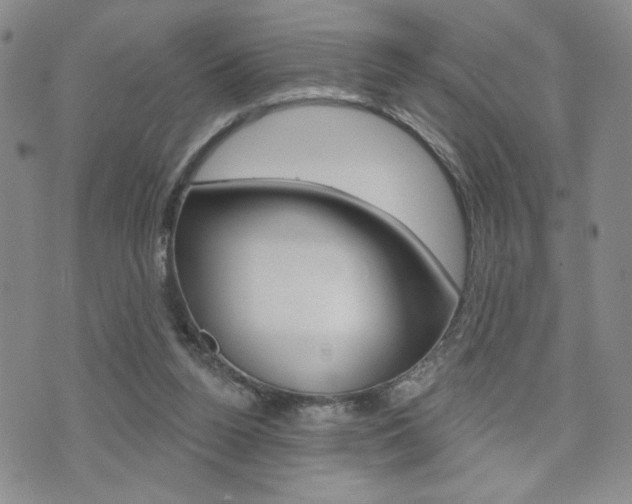 X0000076240160200609280931