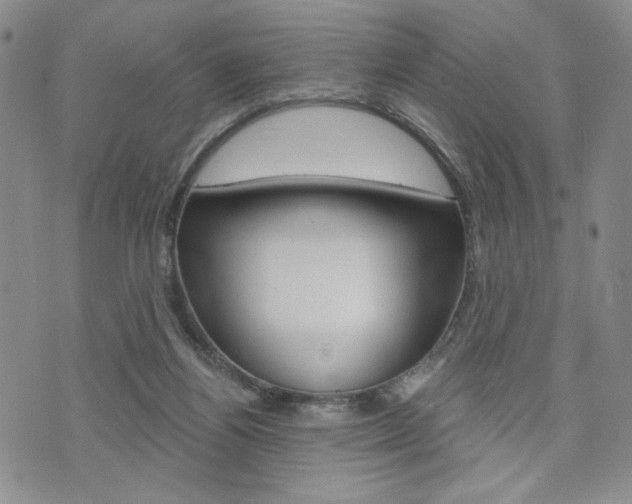 X0000076240164200609280931