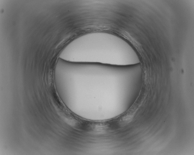 X0000076240165200609280931