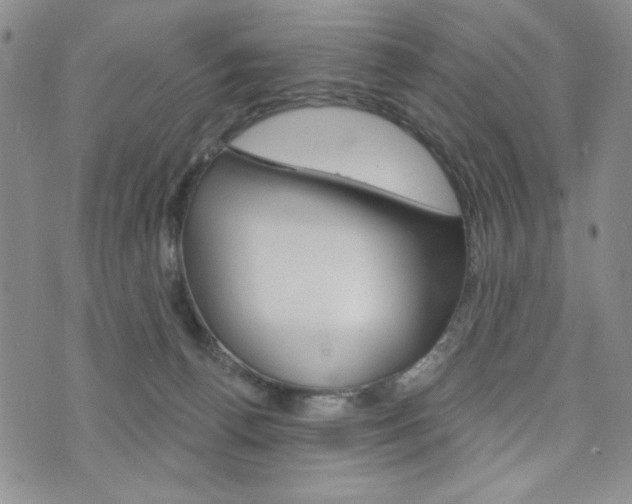 X0000076240176200609280931